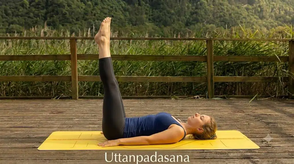 Yoga for Exhaustion: Poses to Restore Energy