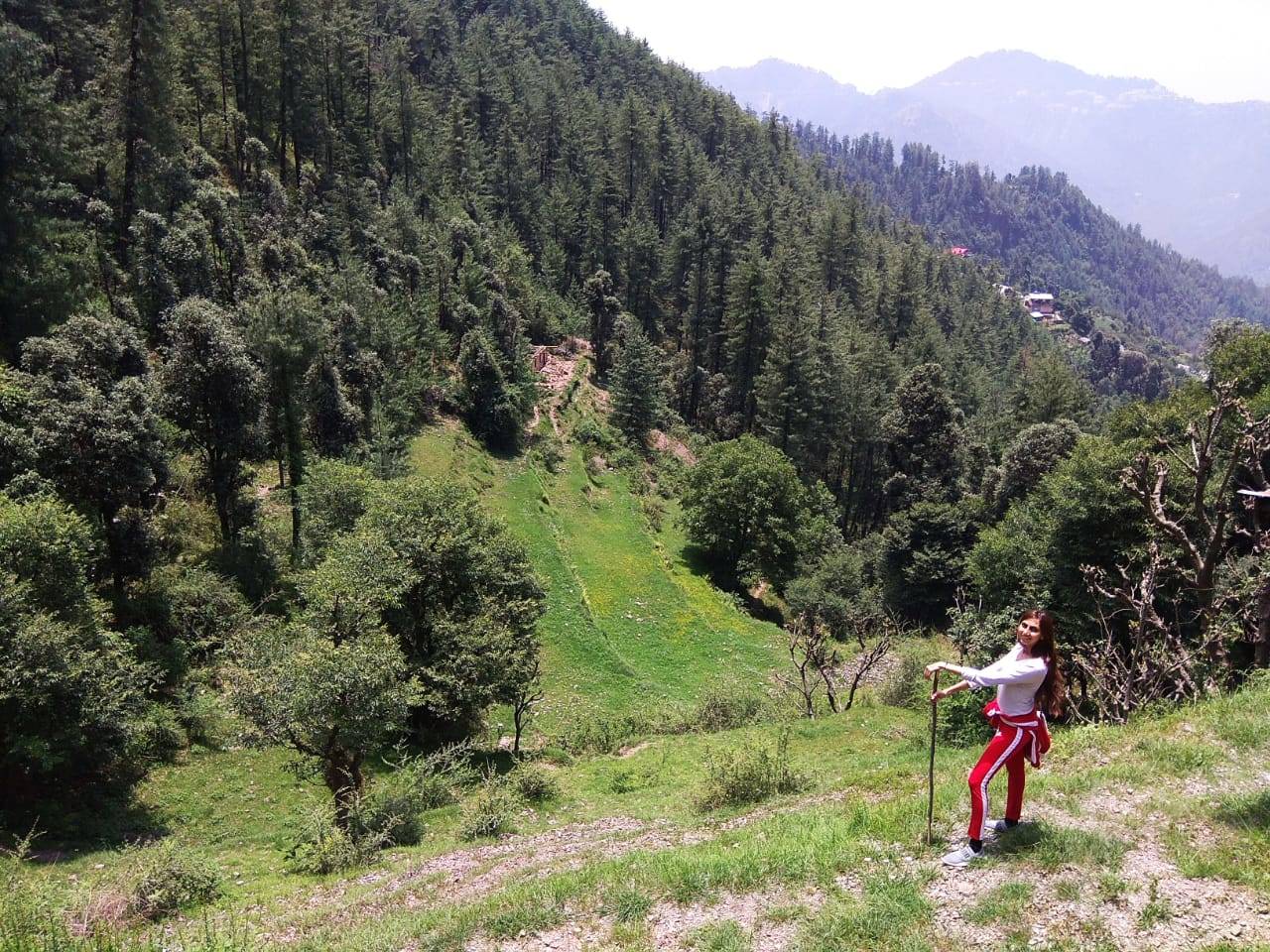 5 Powerful ways to shift to higher vibration instantly