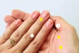 Magnetic Acutherapy: Powerful Healing Treatment with Magnets