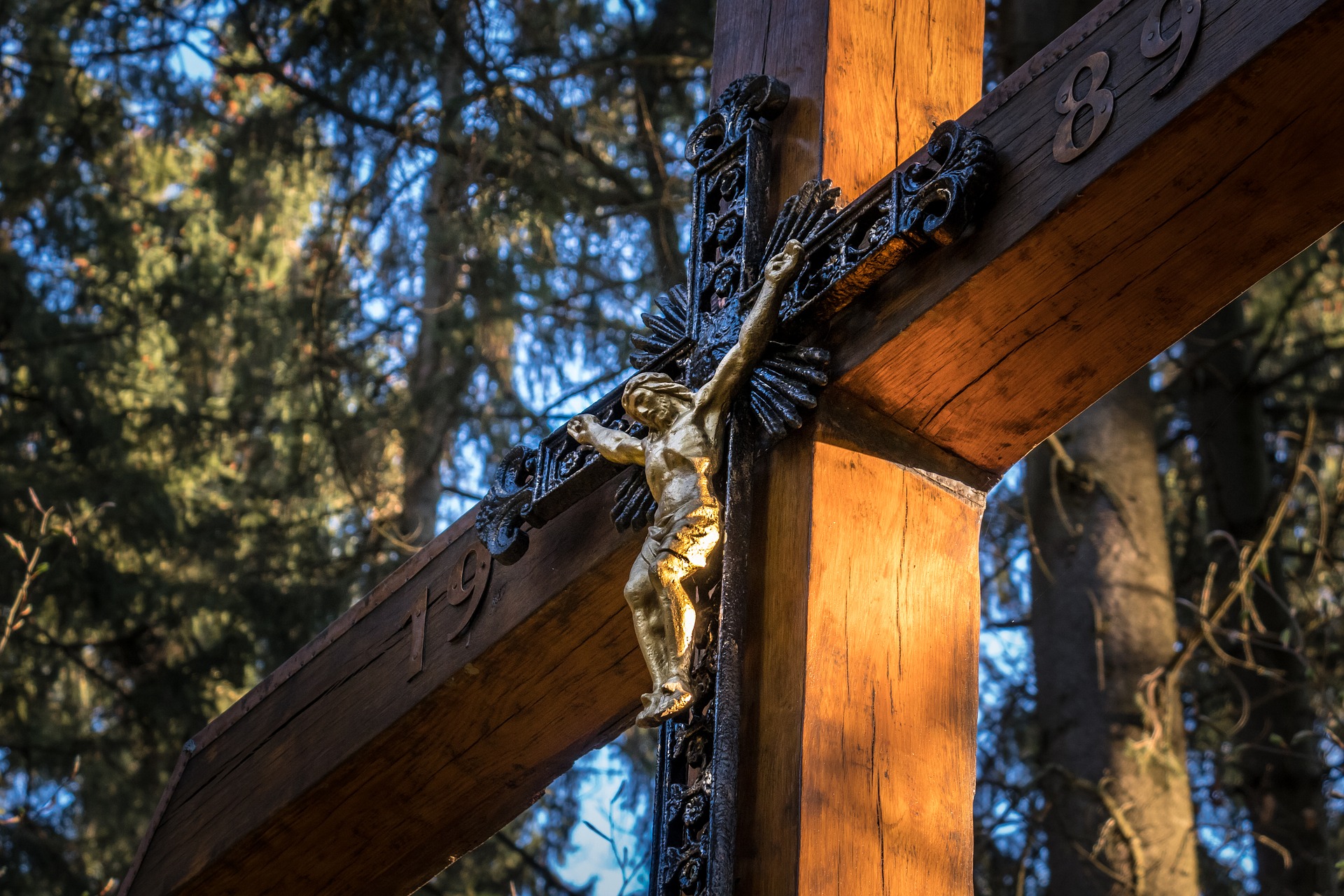 Suffering as a Great Awakener