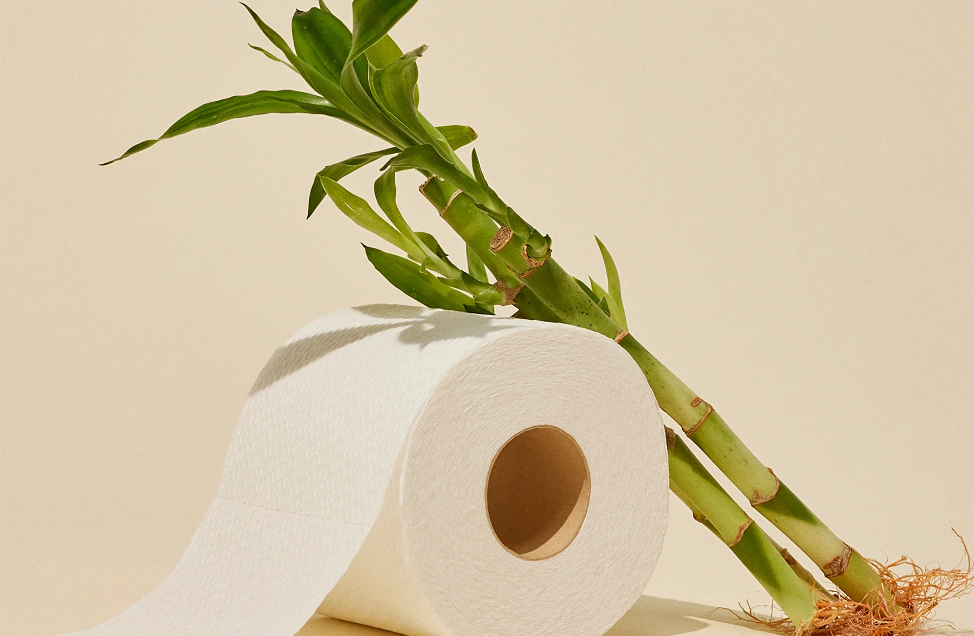 From Packaging to Performance: A Complete Review of Seek Bamboo Toilet Paper