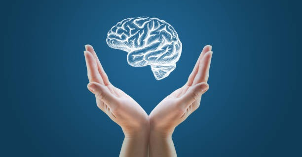 Is Dr. Andrew Huberman Credible?