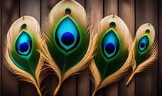 Janmashtami and the Gita: Timeless Wisdom for Modern Life 